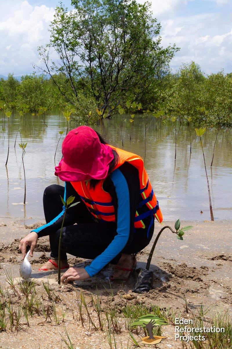 Plant 3 Trees with Sprout