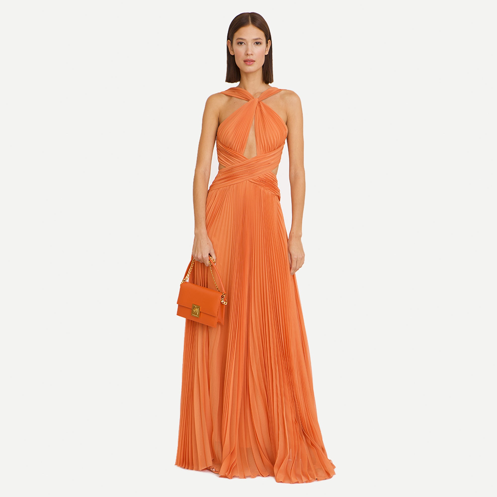 Arabella Chiffon Backless Maxi Dress - Jewelclues