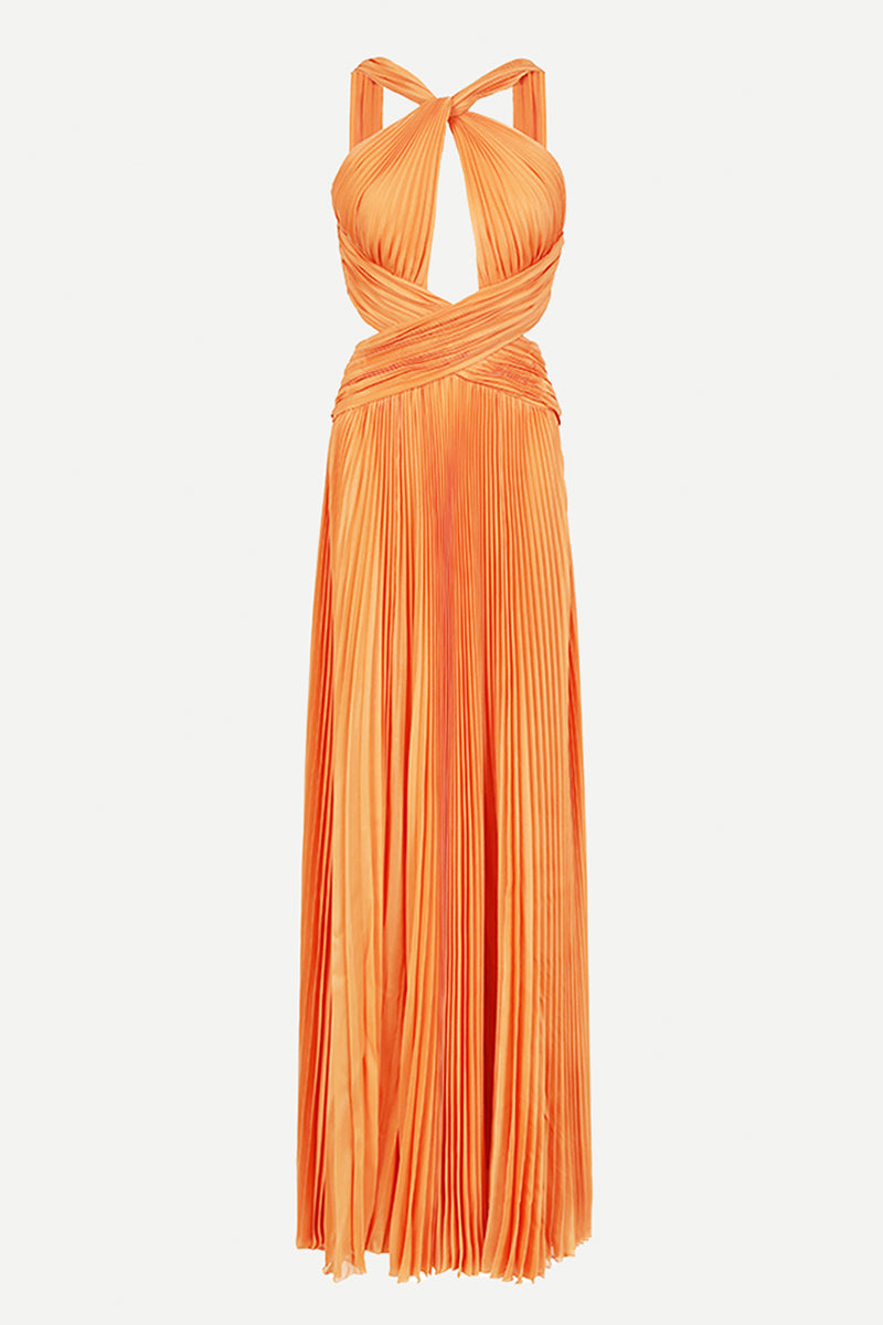 Arabella Chiffon Backless Maxi Dress | Jewelclues