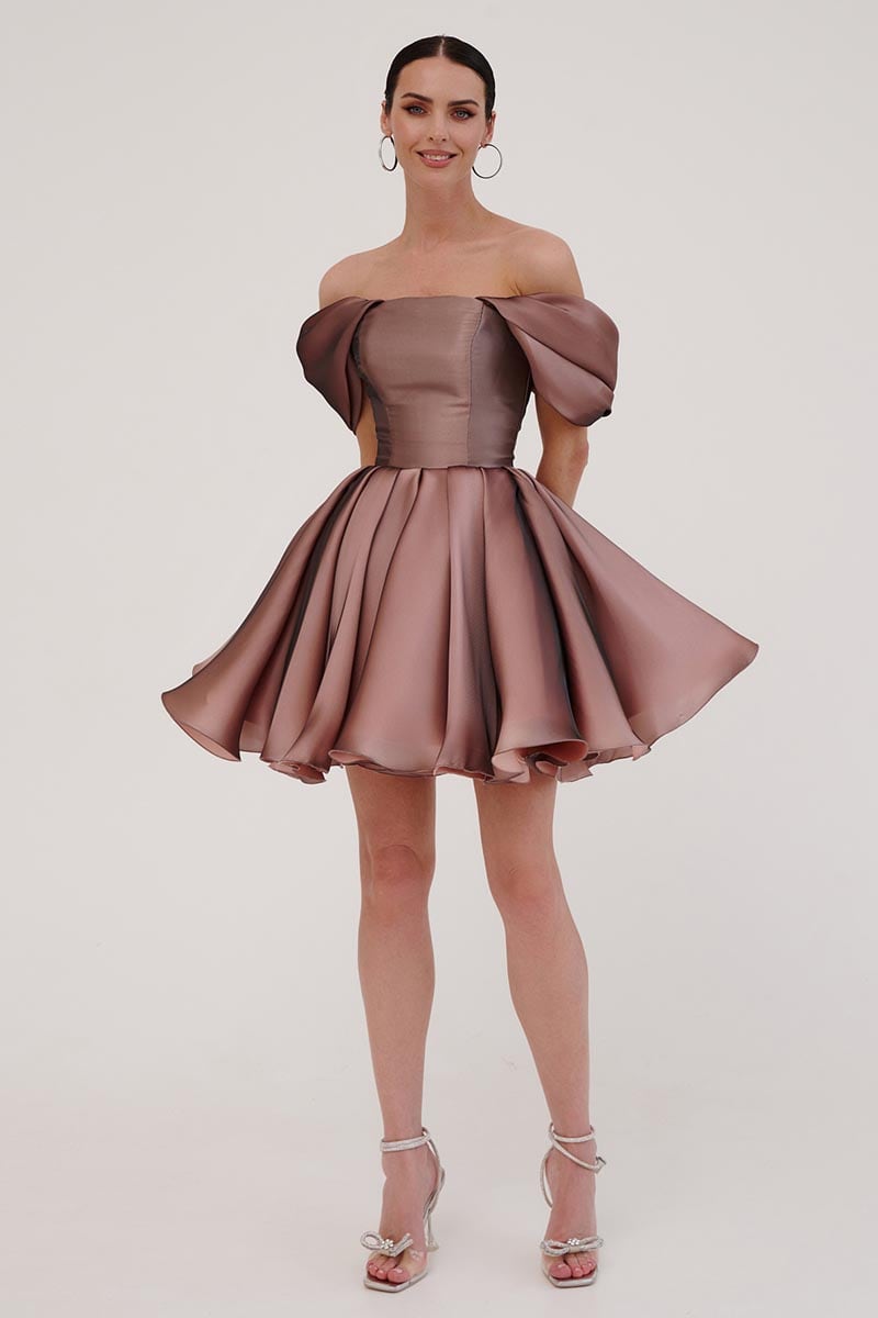 Blissful Diva Mini Skater Dress | Jewelclues