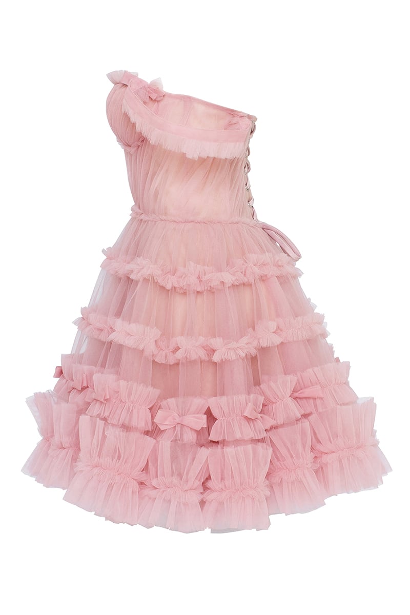 Blush Reverie Off-the-Shoulder Tulle Mini Dress | Jewelclues