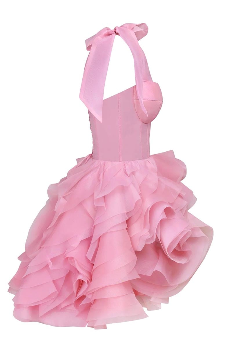 Blushing Beauty Mini Dress | JewelClues