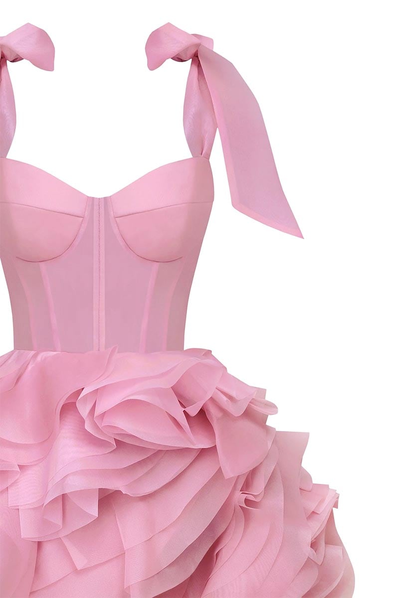 Blushing Beauty Mini Dress | JewelClues