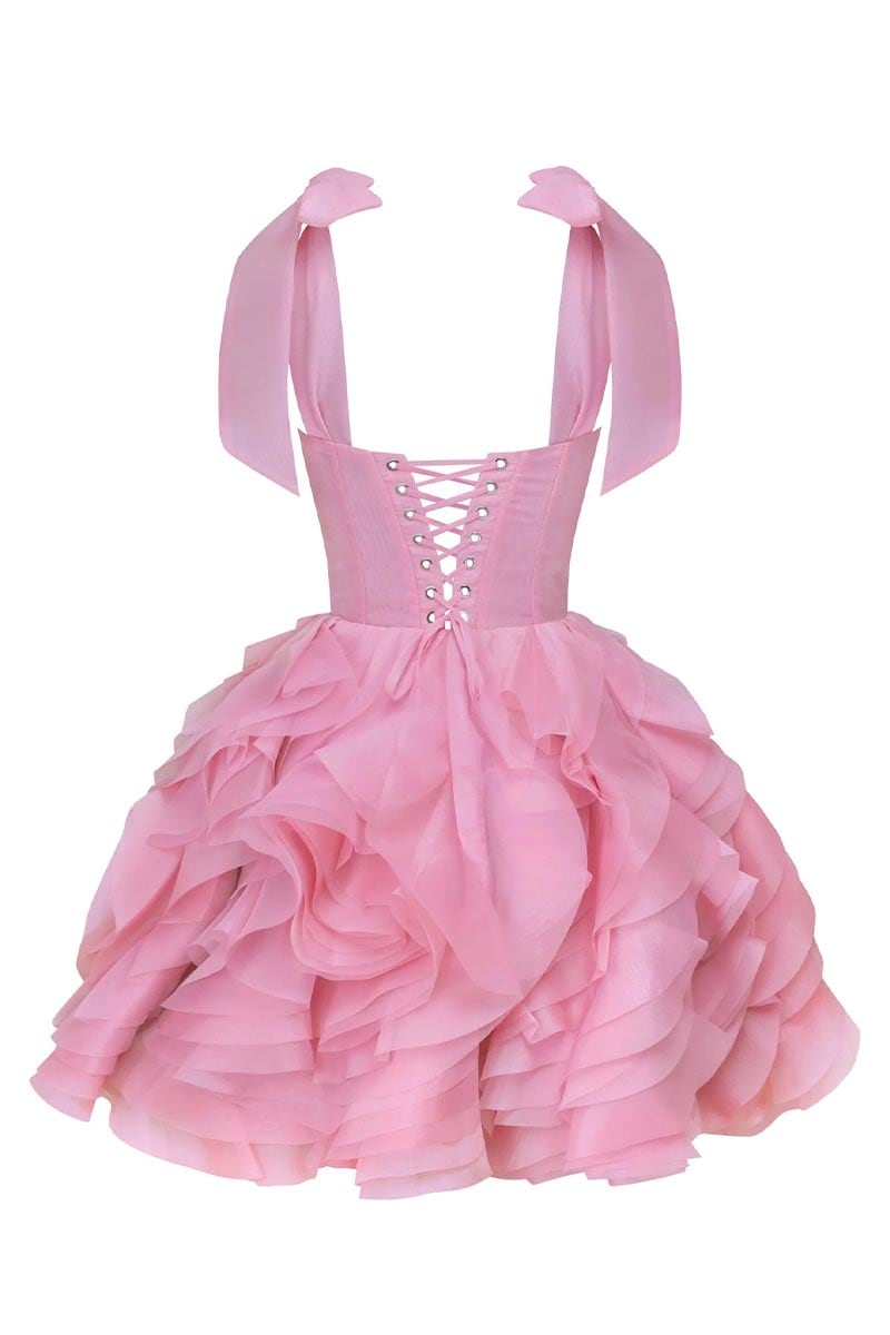 Blushing Beauty Mini Dress | JewelClues