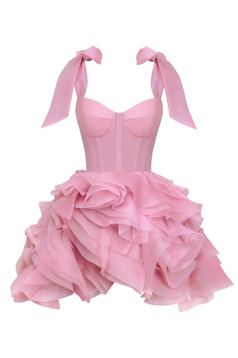 Blushing Beauty Mini Dress | JewelClues