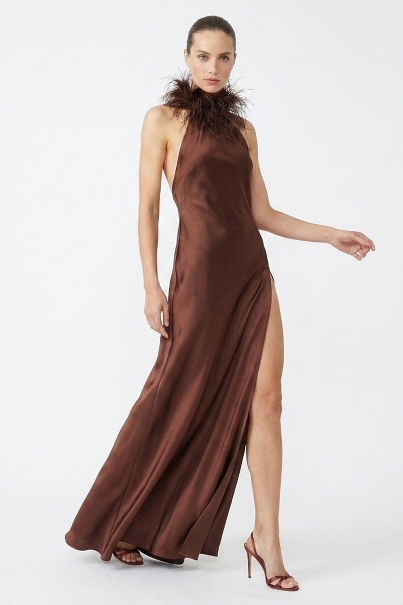 Isabelle Silk Feather-Neck Gown | JewelClues