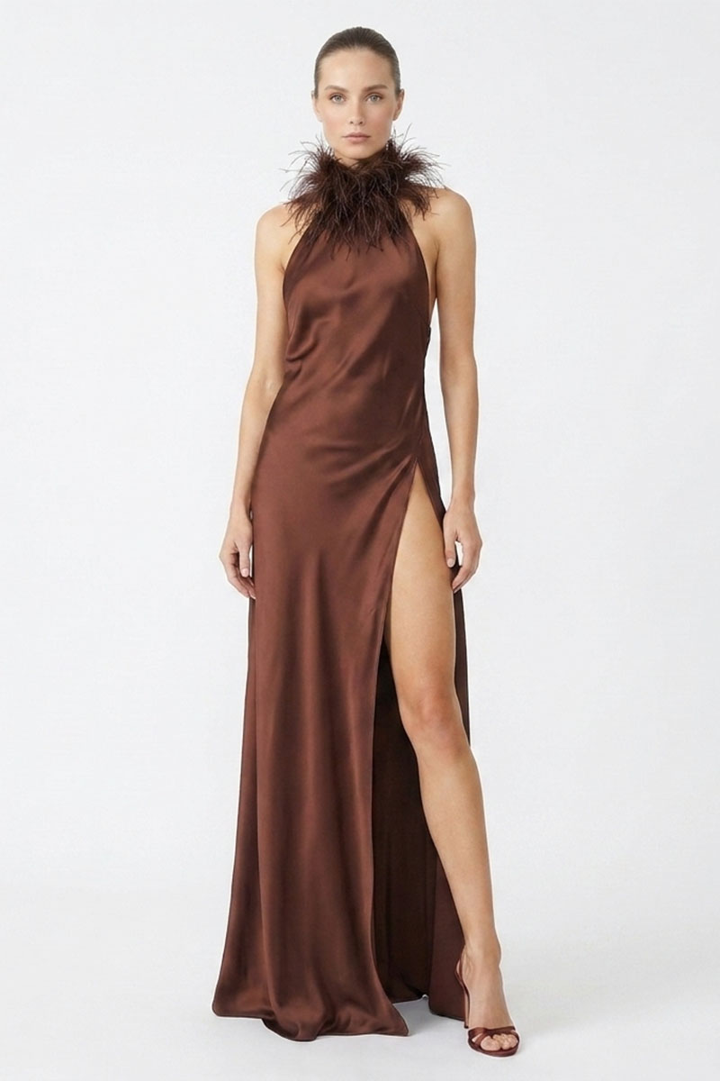 Isabelle Silk Feather-Neck Gown | JewelClues