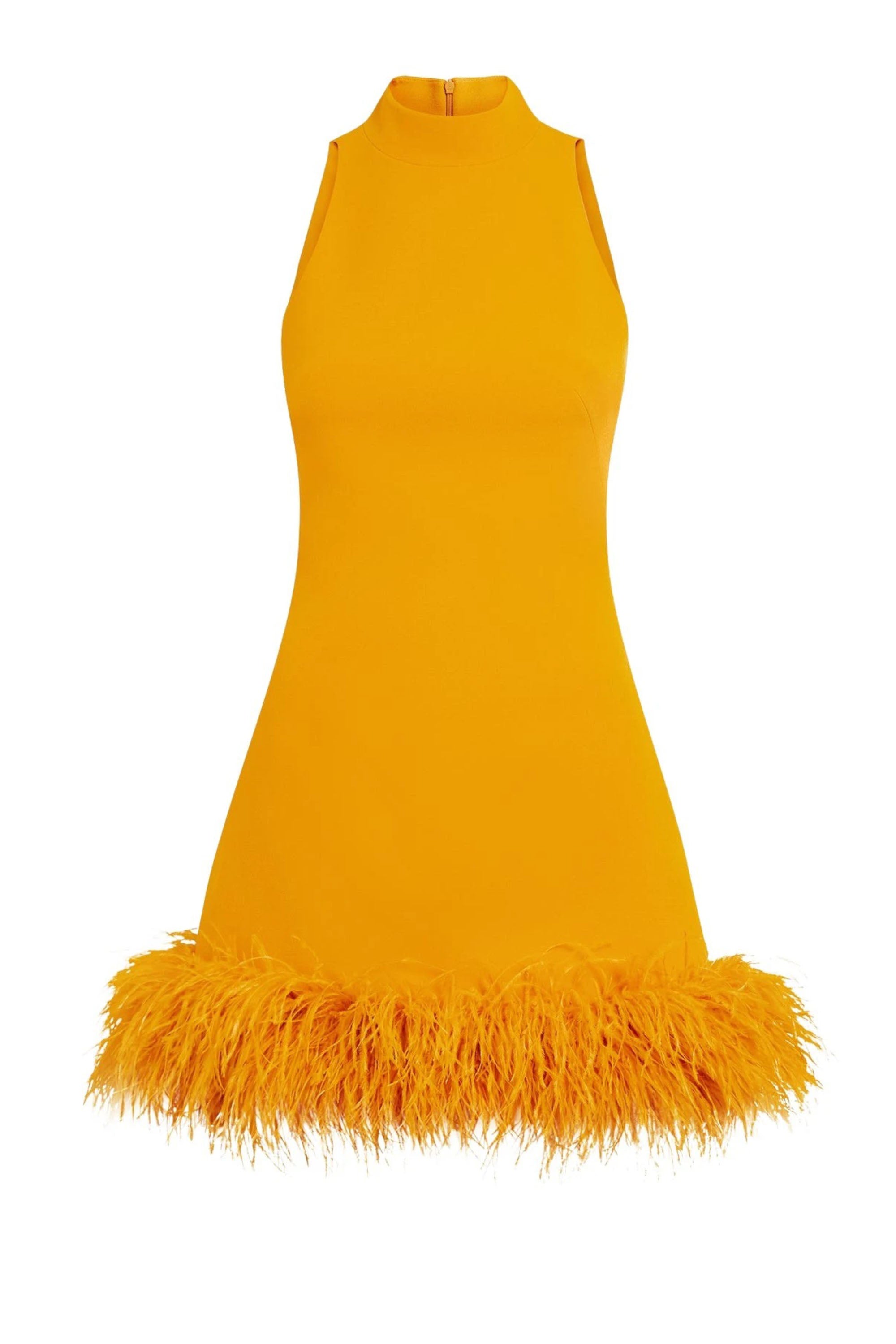 Raga Feather Mini Dress | JewelClues
