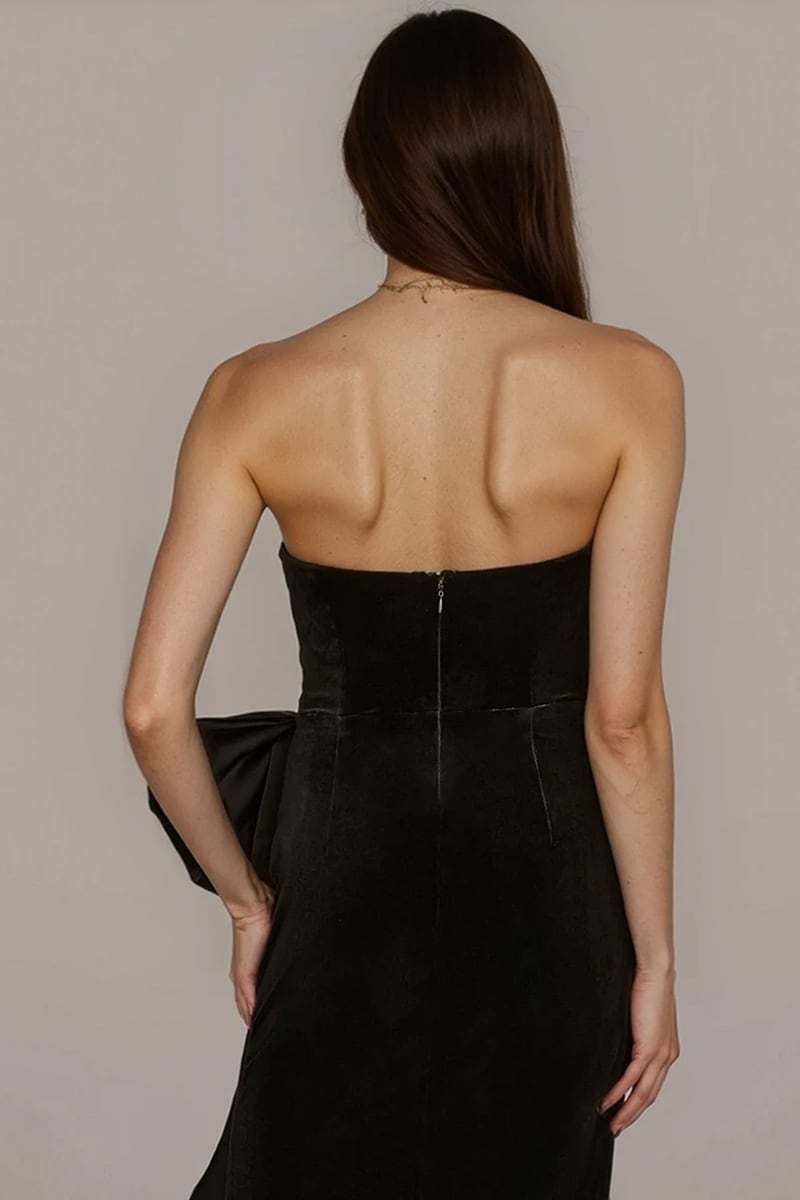 Vivienne Strapless Velvet Gown | Jewelclues