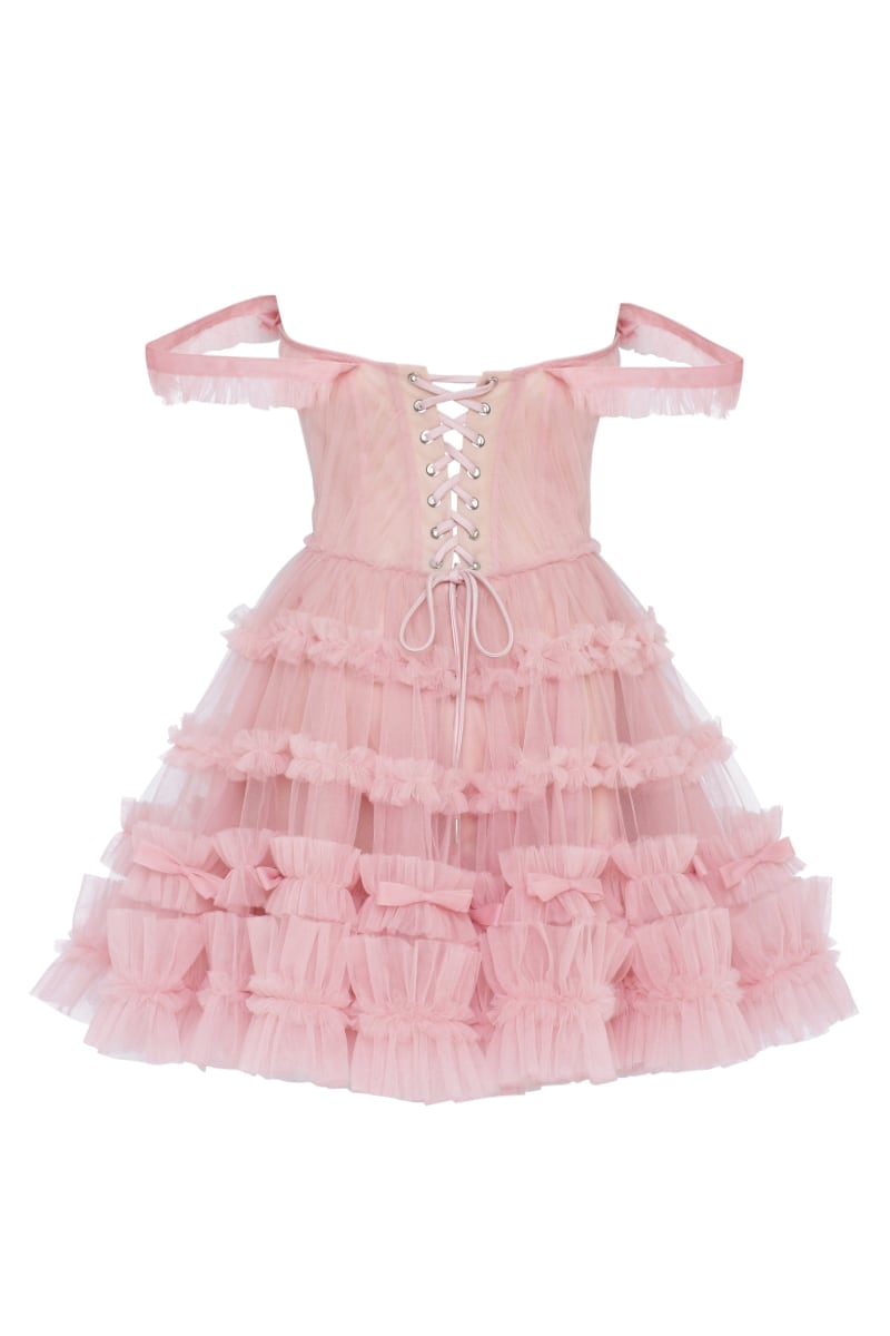 Blush Reverie Off-the-Shoulder Tulle Mini Dress | Jewelclues