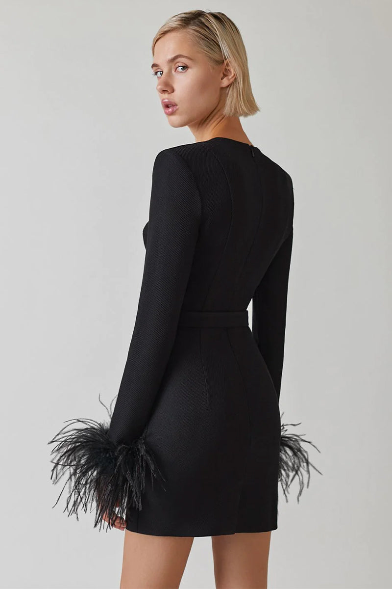 Estelle Bodycon Mini Dress | Jewelclues | #color_black