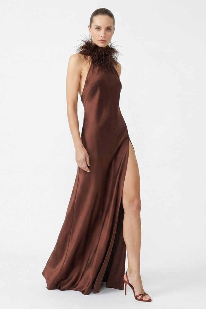 Isabelle Silk Feather-Neck Gown | JewelClues