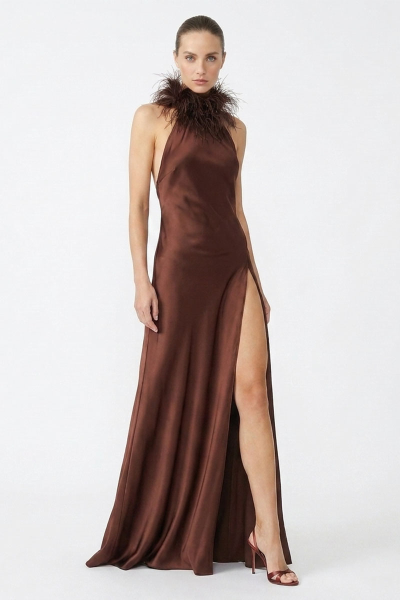 Isabelle Silk Feather-Neck Gown | JewelClues