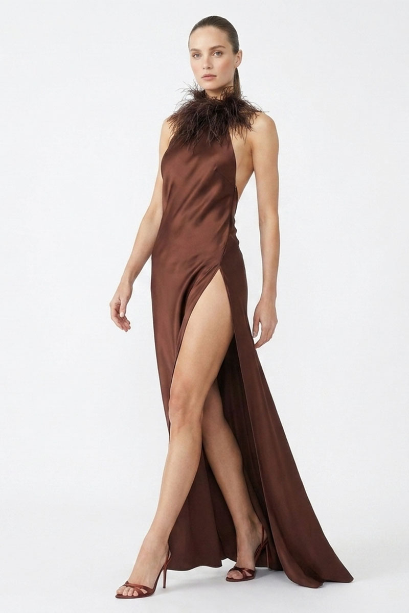 Isabelle Silk Feather-Neck Gown | JewelClues