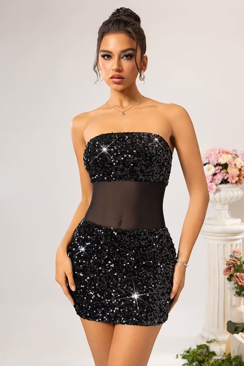 Noir Sequin Mesh Mini Dress | Jewelclues