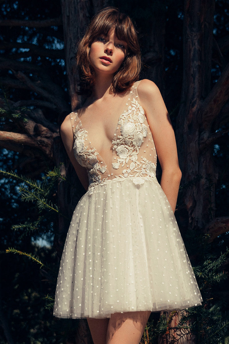 Radiant Desires Embroidered Lace Mini Dress | Jewelclues | #color_ivory