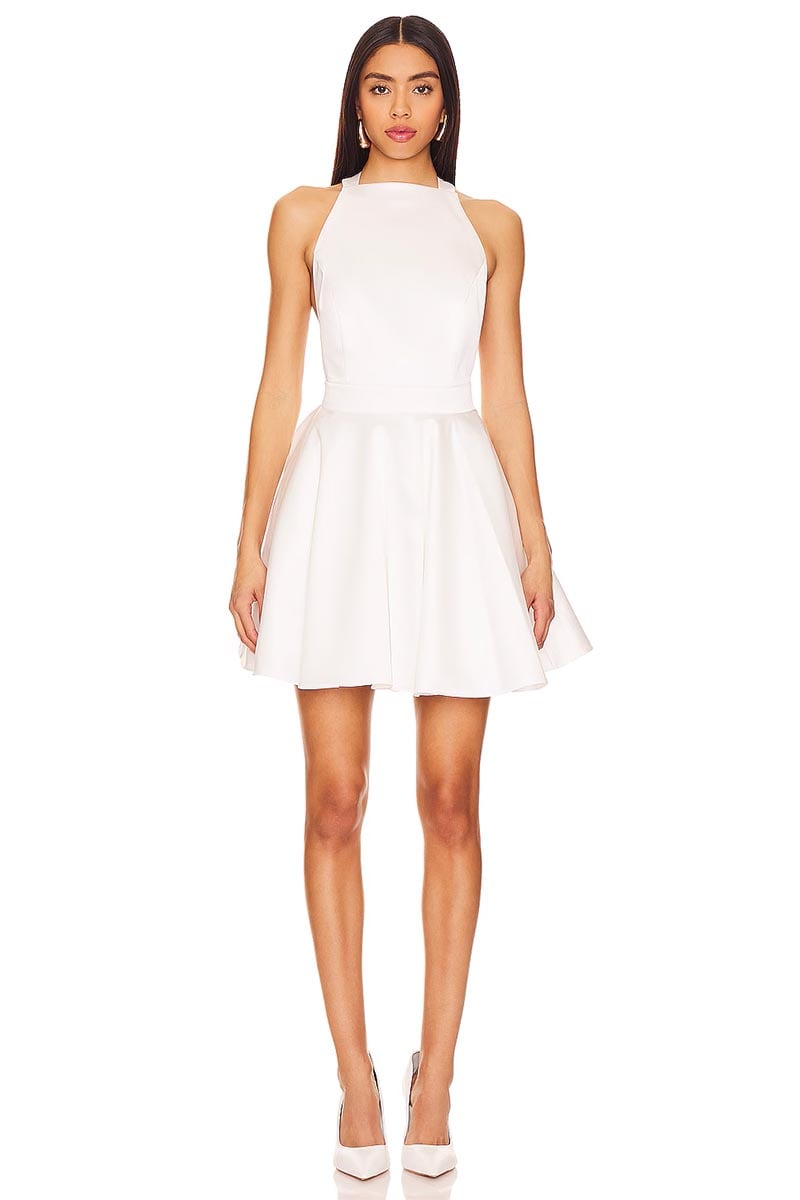 Timeless Charm Skater Mini Dress | Jewelclues