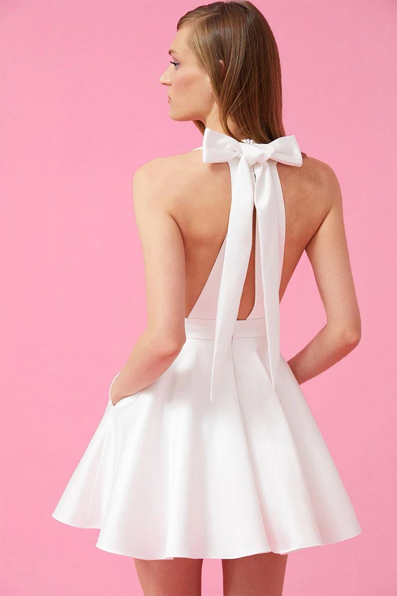 Timeless Charm Skater Mini Dress | Jewelclues