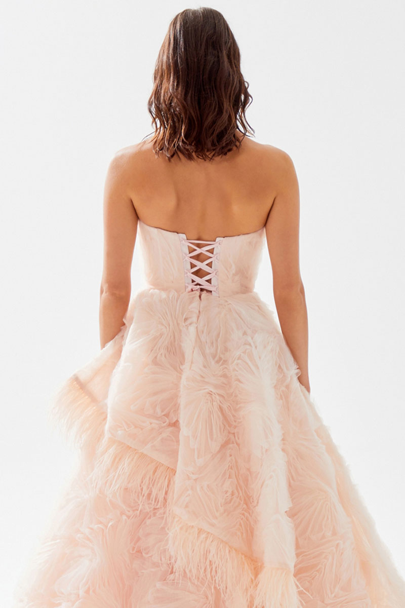 Henri Strapless Feather Trimmed Gown | Jewelclues | #color_champagne pink